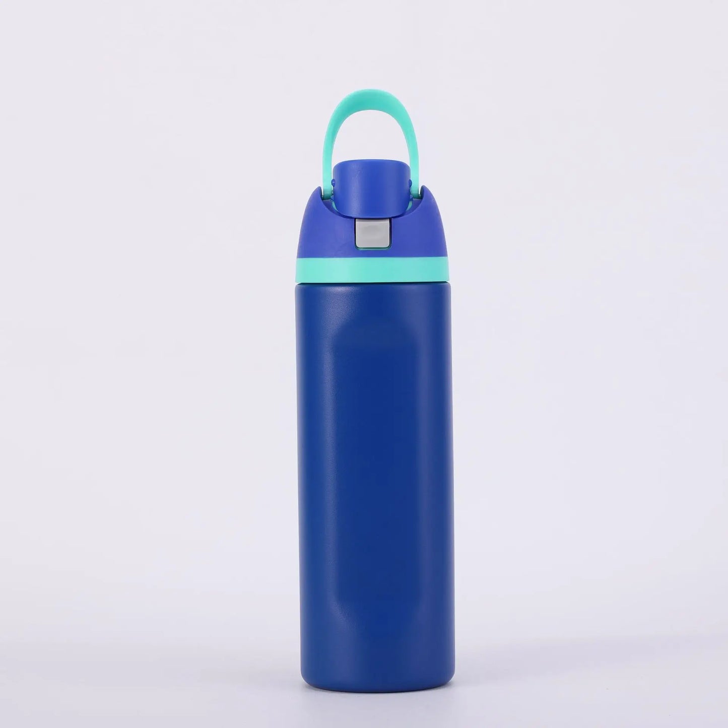 Insulated Stainless Steel Water Bottle with Straw Sports Water Bottle Great for Travel Colored Large Capacity Straw Fruit Cup