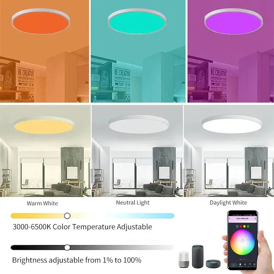 Tuya WiFi LED Ceiling Light AC 220V 24W RGB Color Light Whole House Lighting Smart Home Voice Control Easy Living APP Connection