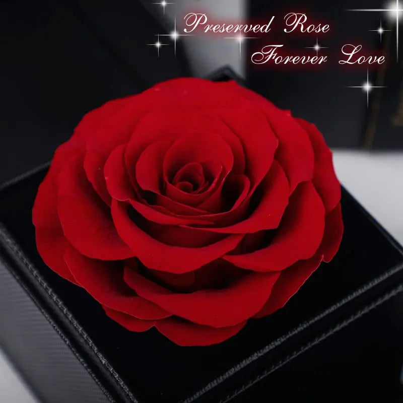 Preserved Rose Gift with Gift Box Eternal Rose Box Gifts for Her Mom Grandma Wife Daughter Women Xmas Valentine's Day Birthday